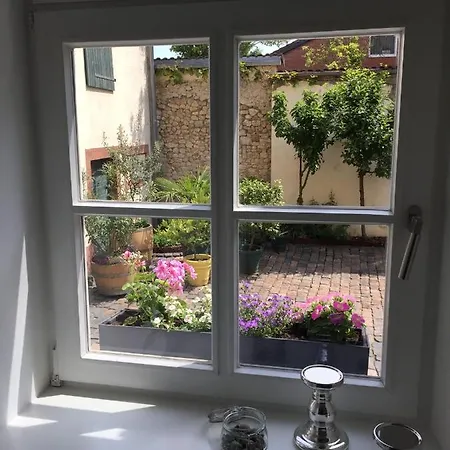 公寓 Alte Schule Wachenheim Im Zellertal *