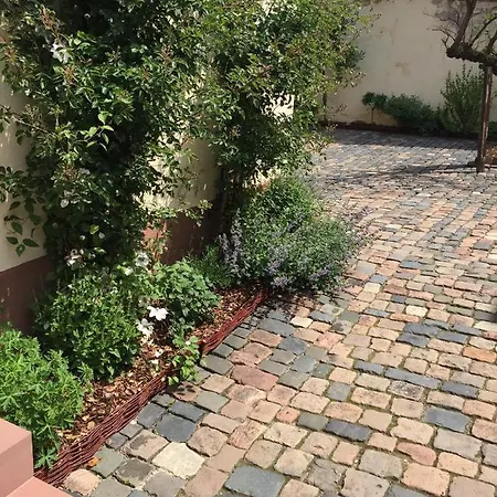 アパート Alte Schule Wachenheim Im Zellertal