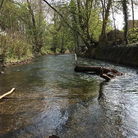 Alte Schule Wachenheim Im Zellertal 公寓