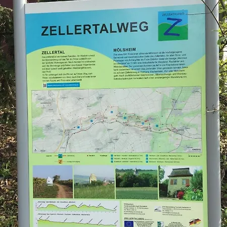 Alte Schule Wachenheim Im Zellertal