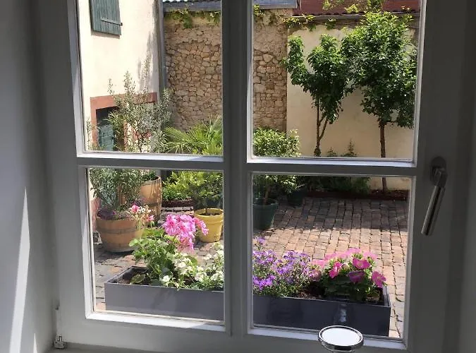 아파트 Alte Schule Wachenheim Im Zellertal *