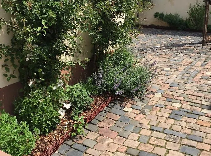 아파트 Alte Schule Wachenheim Im Zellertal