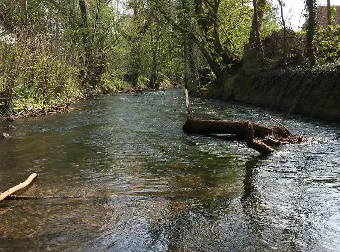 Alte Schule Wachenheim Im Zellertal 아파트