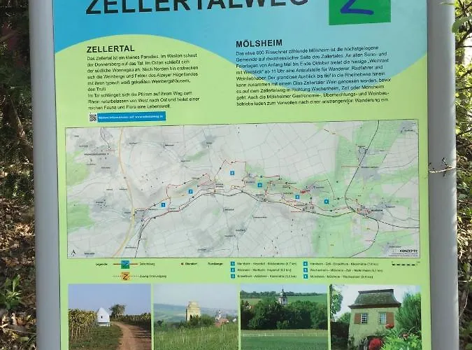 Alte Schule Wachenheim Im Zellertal